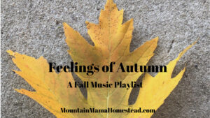 Feelings of Autumn; A Fall Music Playlist