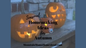 Seasonal Homemaking Ideas for Autumn