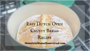 Easy Dutch Oven Crusty Bread Recipe
